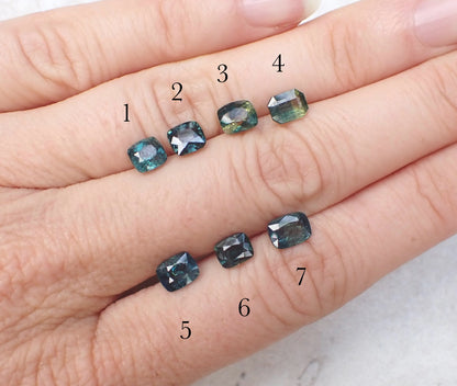 Custom Viewing Page for Shaun