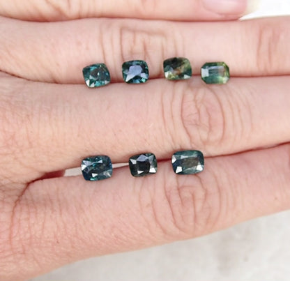 Custom Viewing Page for Shaun