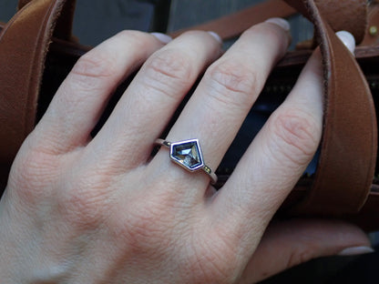 Shield Cut Salt and Pepper Diamond Ring, Bezel Set in 14k White Gold - mossNstone