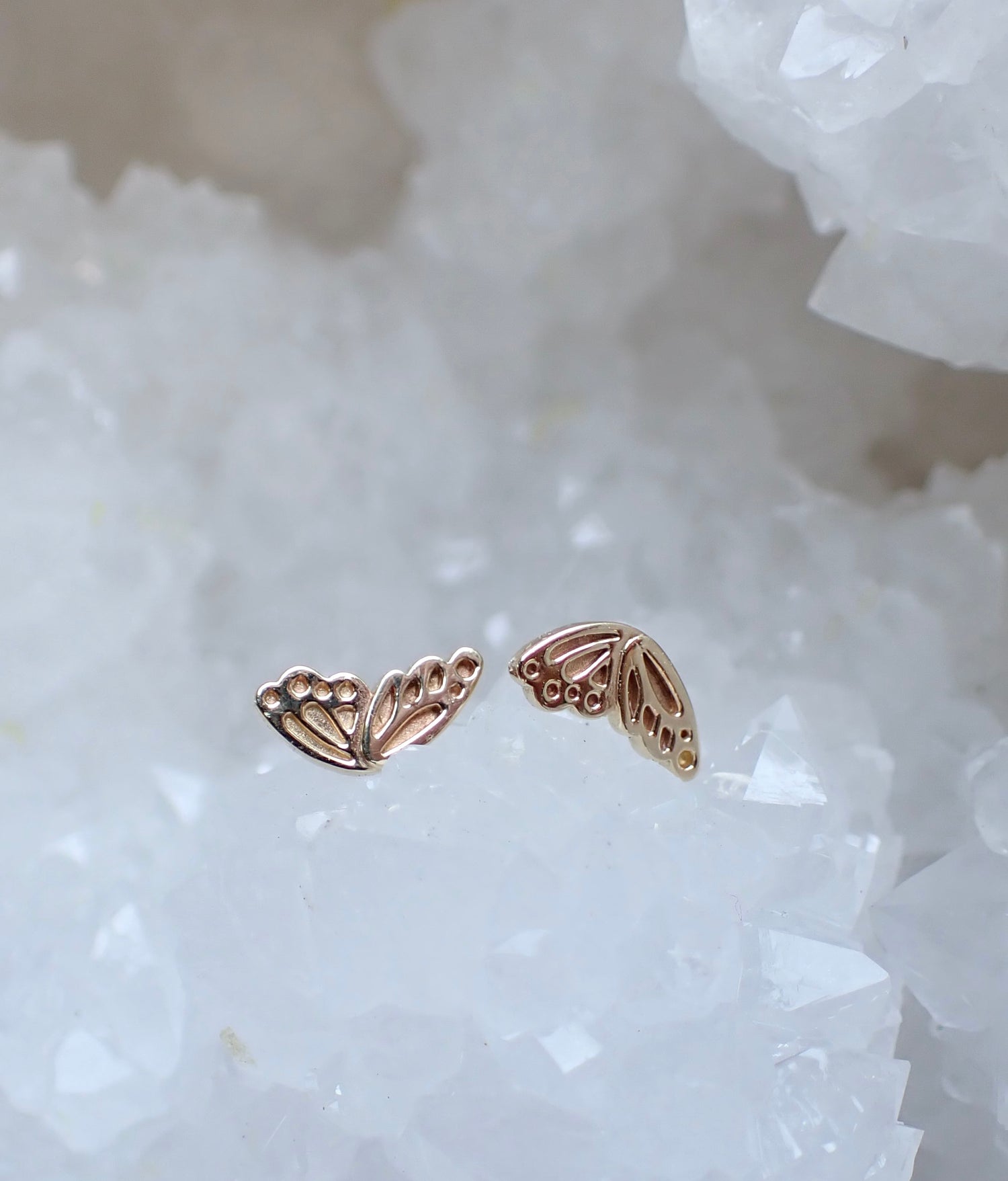 Butterfly Wing 14k stud earrings - mossNstone